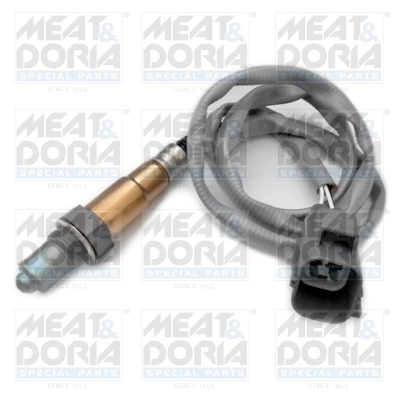 Oxygen Sensor
